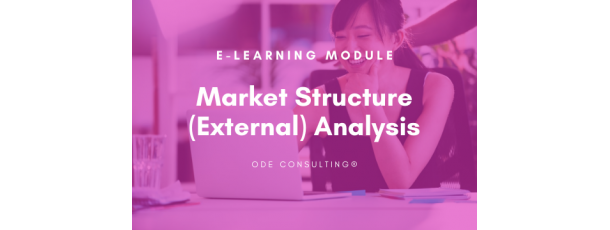 e-Learning module: Market Structure (External) Analysis 